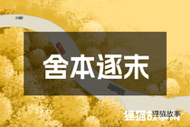 舍本逐末