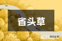 省头草