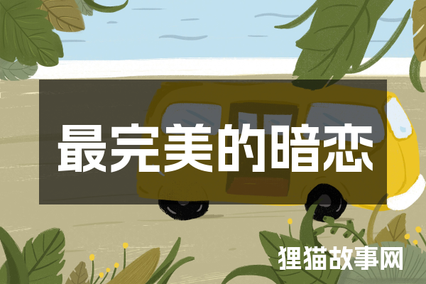 最完美的暗恋