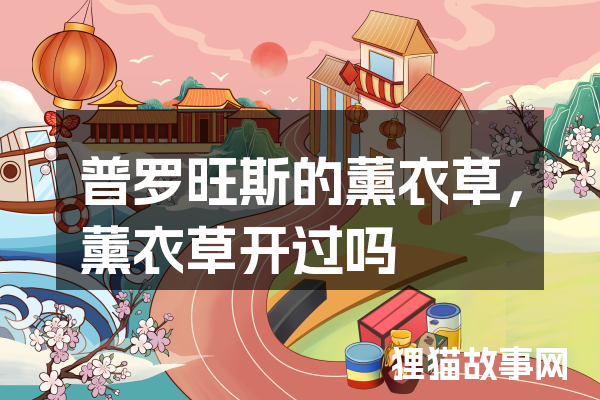 普罗旺斯的薰衣草，薰衣草开过吗