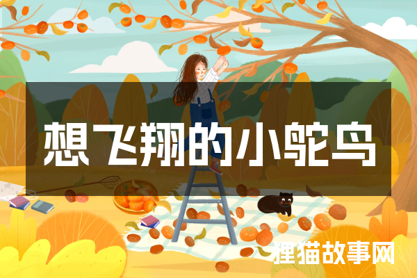 想飞翔的小鸵鸟