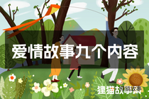 爱情故事九个内容