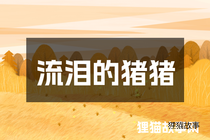 流泪的猪猪