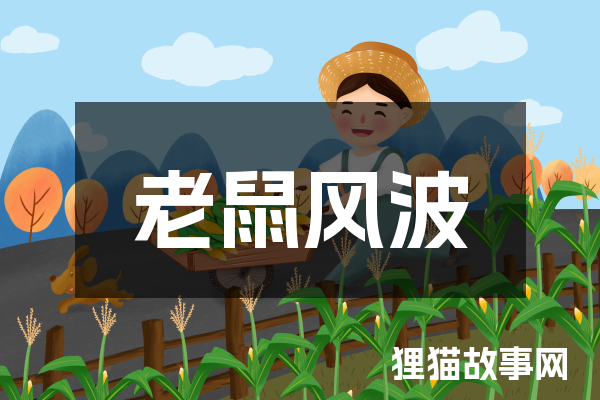 老鼠风波
