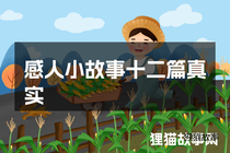 感人小故事十二篇真实