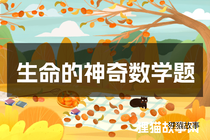 生命的神奇数学题