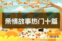 亲情故事热门十篇