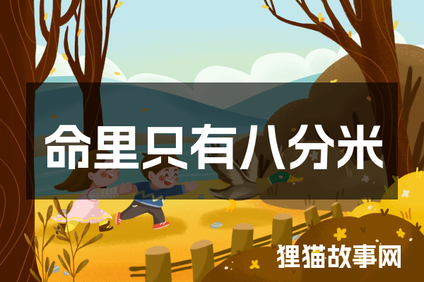 命里只有八分米