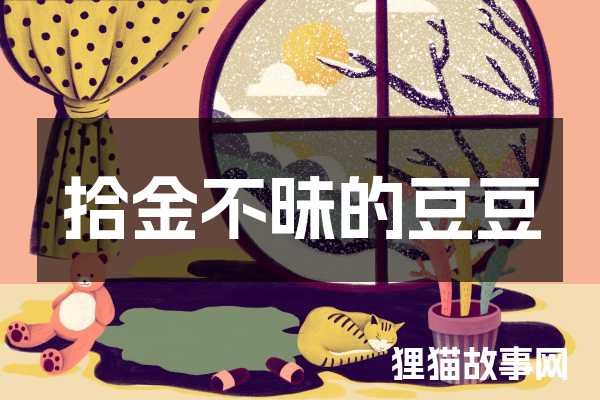拾金不昧的豆豆