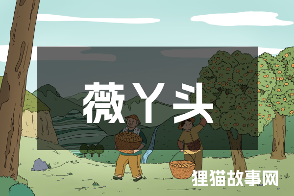 薇丫头