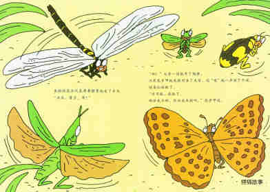 昆虫智趣园5-昆虫捉迷藏绘本故事第4页