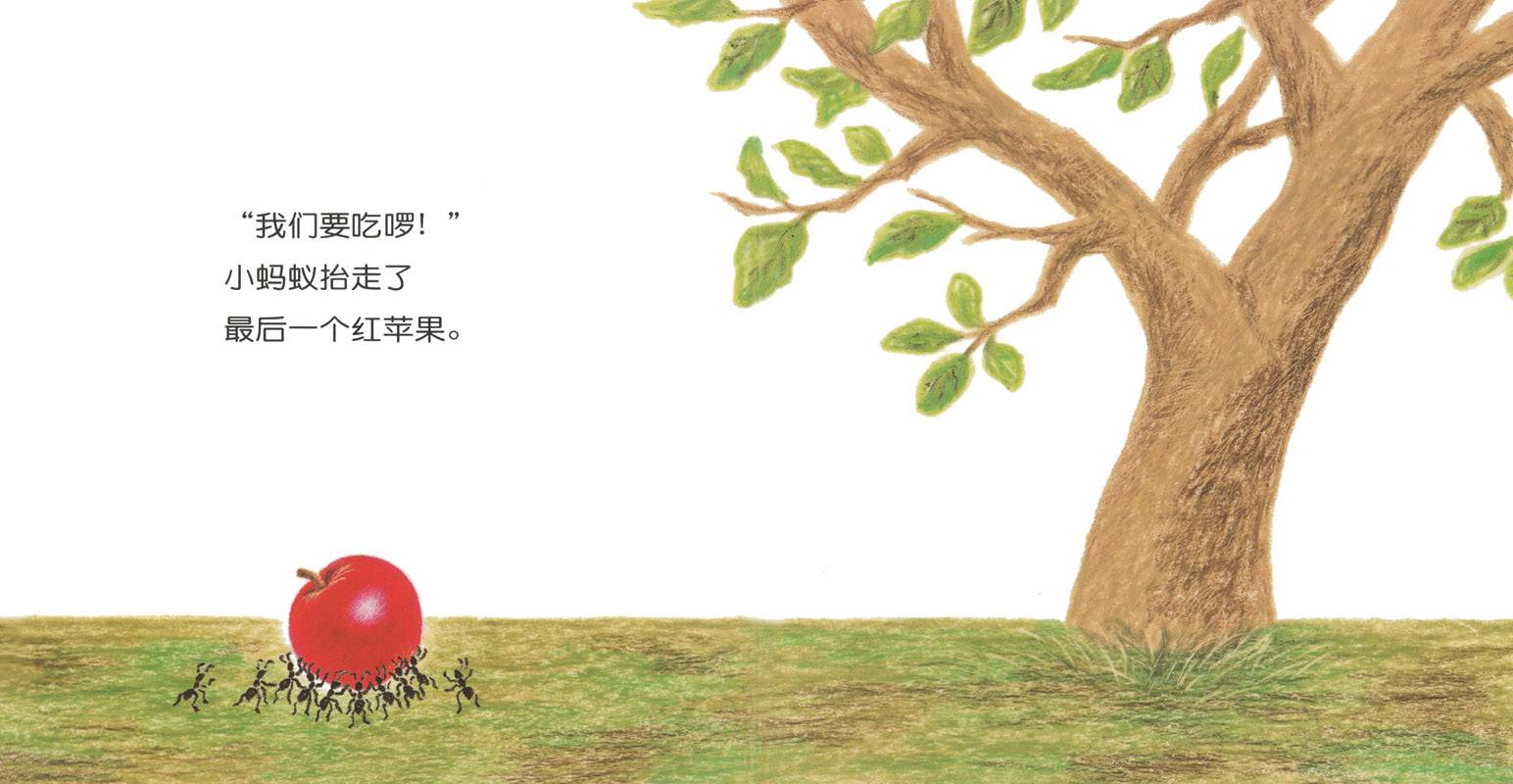 好大的红苹果绘本故事完整图片在线观看_狸猫故事网