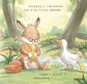 暖房子经典绘本·成长系列——缠人的小鸭子绘本故事第17页
