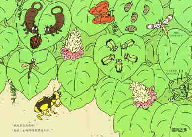 昆虫智趣园5-昆虫捉迷藏绘本故事第11页