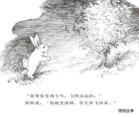 逃家小兔绘本故事第13页