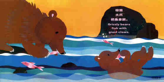 科学童谣双语绘本：熊！熊！熊！绘本故事第7页
