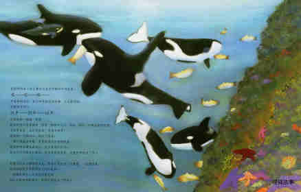动物成长故事绘本：虎鲸家族传奇绘本故事第6页