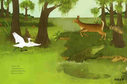 动物成长故事绘本：鳄鱼觅食记绘本故事第12页