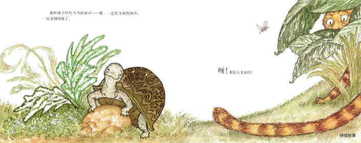 爱玛的乌龟绘本故事第8页