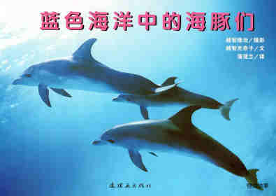 绘本故事亲子绘本 蓝色海洋中的海豚们