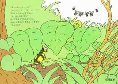 昆虫智趣园5-昆虫捉迷藏绘本故事第6页