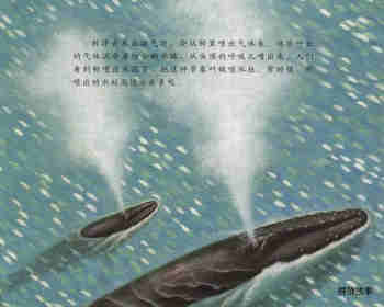 自然科学启蒙（第三辑）——喝乳汁的幼鲸绘本故事第9页