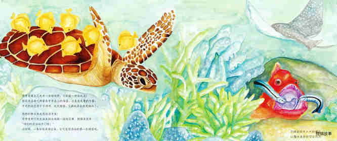 动物成长故事绘本：海龟奇奇成长记绘本故事第7页