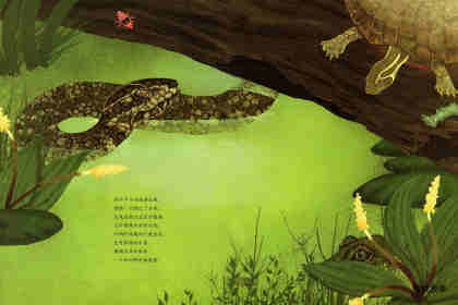 动物成长故事绘本：鳄鱼觅食记绘本故事第5页