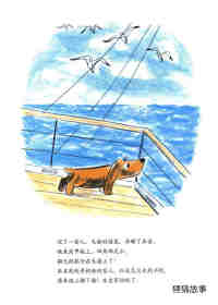 小狗本吉系列--本吉坐船去旅行绘本故事第12页