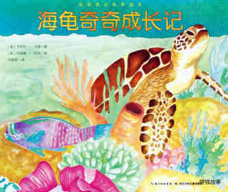 绘本故事动物成长故事绘本：海龟奇奇成长记