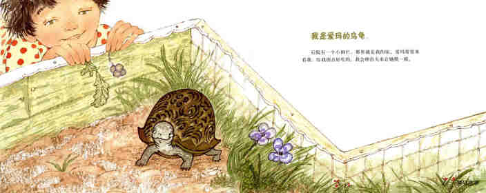 爱玛的乌龟绘本故事第2页