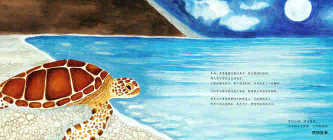 动物成长故事绘本：海龟奇奇成长记绘本故事第14页