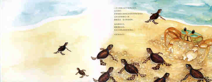 动物成长故事绘本：海龟奇奇成长记绘本故事第2页