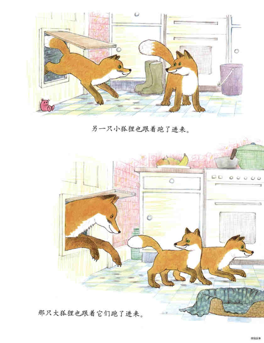 莫格的狐狸朋友绘本故事第15页