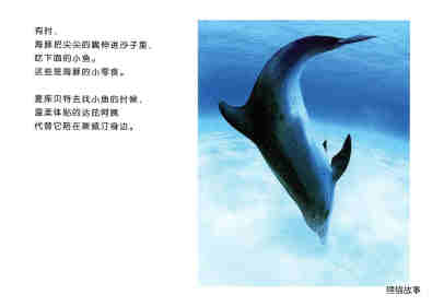 亲子绘本 蓝色海洋中的海豚们绘本故事第12页