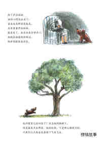 小狗本吉系列--本吉和鹦鹉绘本故事第11页