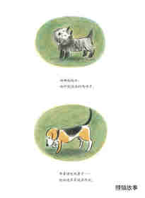 小狗本吉系列--本吉和菲菲绘本故事第17页