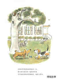 小狗本吉系列--本吉和菲菲绘本故事第4页