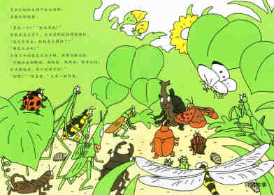 昆虫智趣园5-昆虫捉迷藏绘本故事第2页