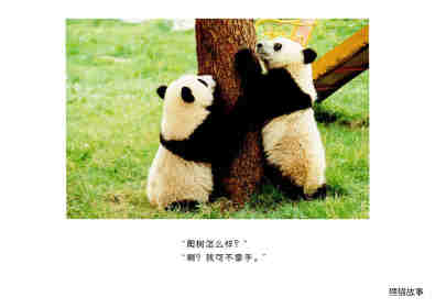 亲子绘本 你好！熊猫兄弟绘本故事第13页