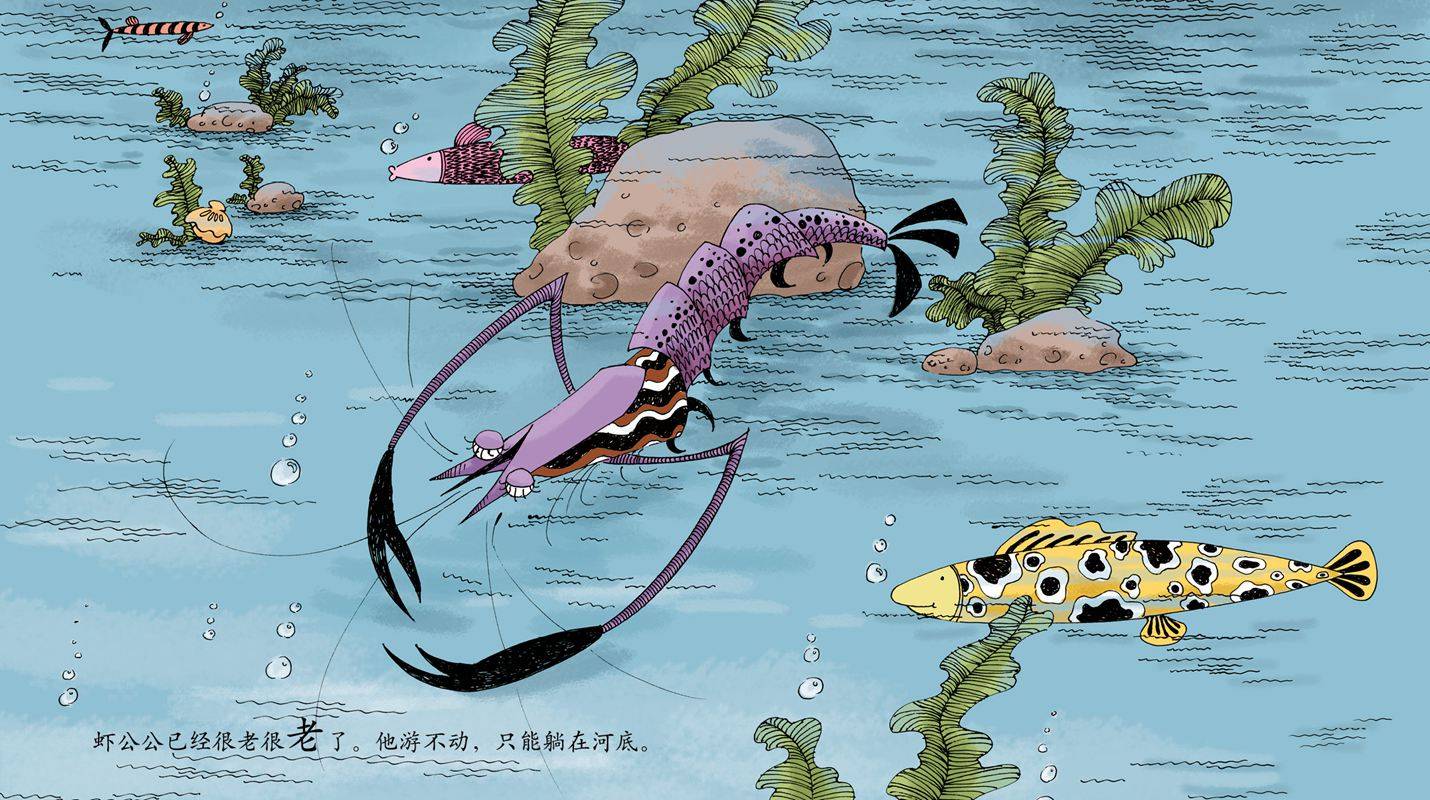七彩虾绘本图片图片