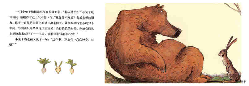 棕熊的神奇事绘本故事第7页