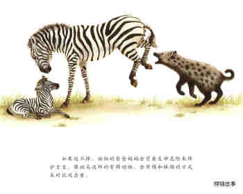 动物宝宝怎么保护自己绘本故事第18页