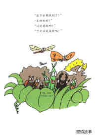 昆虫智趣园5-昆虫捉迷藏绘本故事第17页