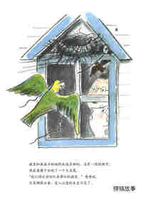 小狗本吉系列--本吉和鹦鹉绘本故事第16页