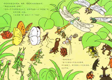 昆虫智趣园5-昆虫捉迷藏绘本故事第3页