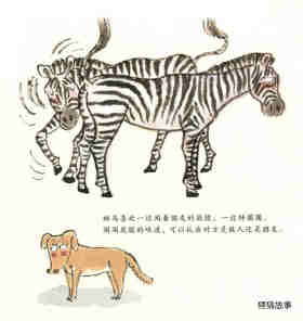 动物也会交朋友绘本故事第4页