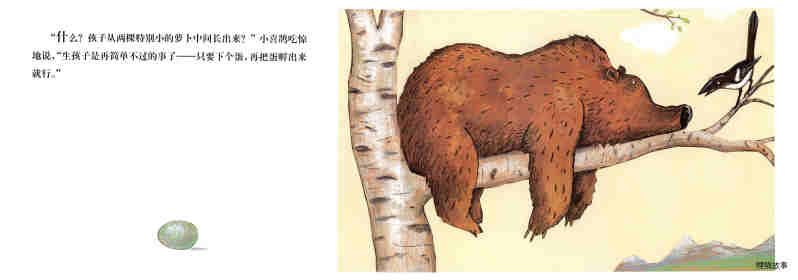 棕熊的神奇事绘本故事第9页
