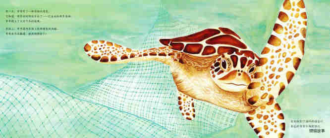 动物成长故事绘本：海龟奇奇成长记绘本故事第13页