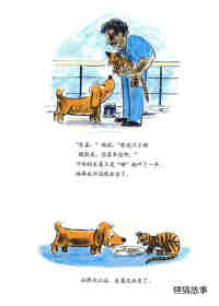 小狗本吉系列--本吉坐船去旅行绘本故事第22页
